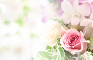 Güzel çiçek arka plan / duvar kağıdı renk filtreleri ile yapılan 