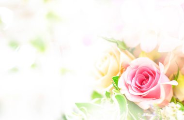 Güzel çiçek arka plan / duvar kağıdı renk filtreleri ile yapılan 