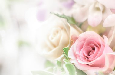 Güzel çiçek arka plan / duvar kağıdı renk filtreleri ile yapılan 