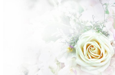 Güzel çiçek arka plan / duvar kağıdı renk filtreleri ile yapılan 