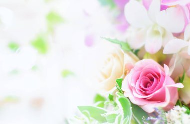 Güzel çiçek arka plan / duvar kağıdı renk filtreleri ile yapılan 