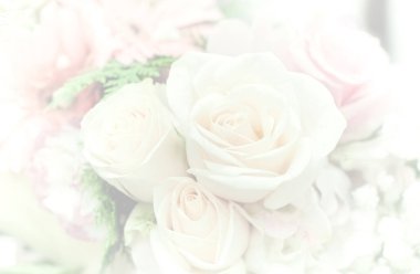 Güzel çiçek arka plan / duvar kağıdı renk filtreleri ile yapılan 