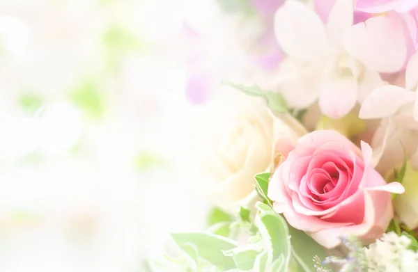 Mooie bloem achtergrond / wallpaper gemaakt met kleurenfilters — Stockfoto