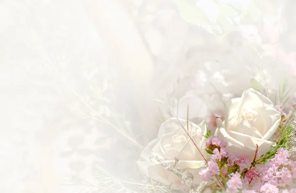 아름 다운 꽃 배경 벽지 컬러 필터와 함께 / — 스톡 사진