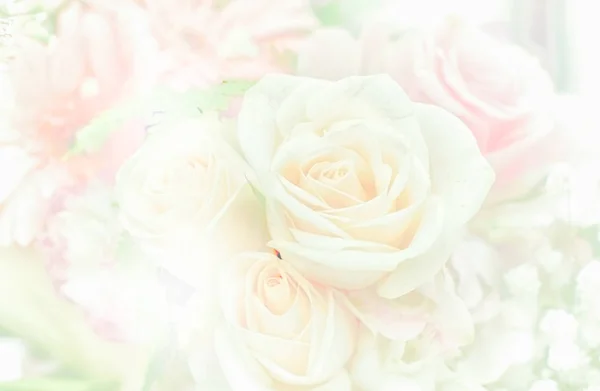 Beautiful flower background / wallpaper made with color filters — Stock Photo, Image