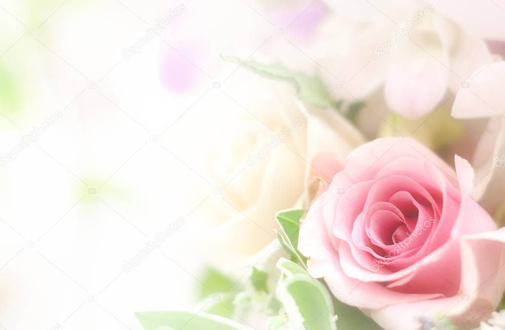 Beautiful flower background / wallpaper made with color filters 