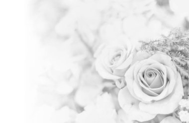 Güzel çiçek arka plan / duvar kağıdı renk filtreleri ile yapılan 