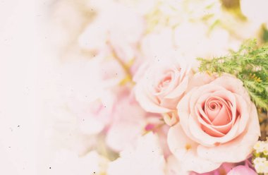 Güzel çiçek arka plan / duvar kağıdı renk filtreleri ile yapılan 