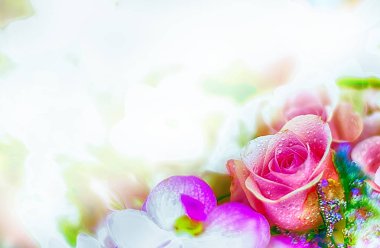 Güzel çiçek arka plan / duvar kağıdı renk filtreleri ile yapılan 