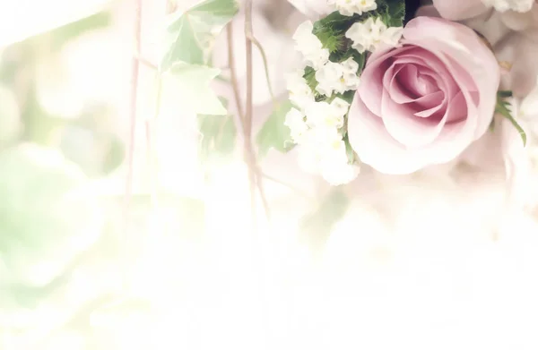 Beautiful flower background / wallpaper made with color filters — Stock Photo, Image