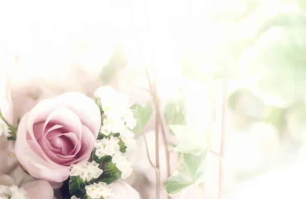 Vacker blomma bakgrund / bakgrundsbild gjort med färgfilter — Stockfoto