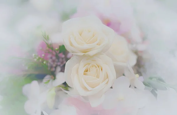 Beautiful flower background / wallpaper made with color filters — Stock Photo, Image