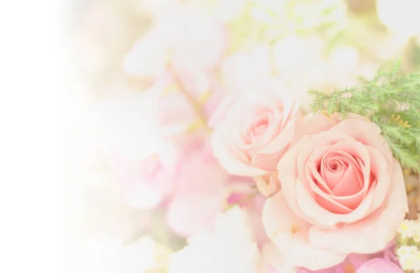 Beautiful flower background / wallpaper made with color filters — Stock Photo, Image