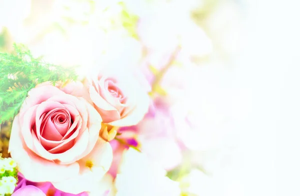 Beautiful flower background / wallpaper made with color filters — Stock Photo, Image