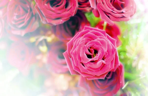 Красивий квітковий фон / шпалери з кольоровими фільтрами — стокове фото
