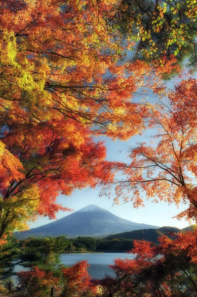 Фудзи осенью — стоковое фото