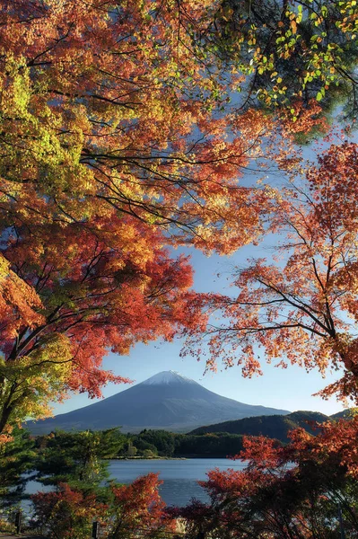 Sonbaharda Fuji Dağı. — Stok fotoğraf