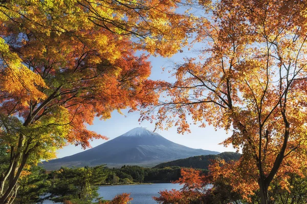 Mt.Fuji no outono — Fotografia de Stock