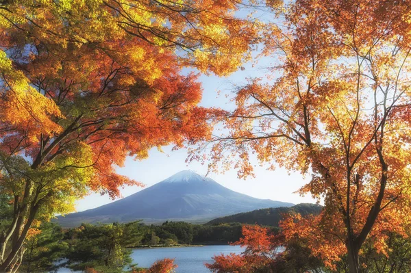 Sonbaharda Fuji Dağı. — Stok fotoğraf