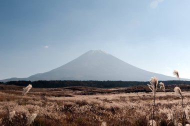 Fuji Dağı Japonya için görüntüleyin