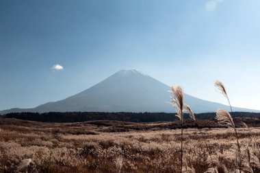 Fuji Dağı Japonya için görüntüleyin