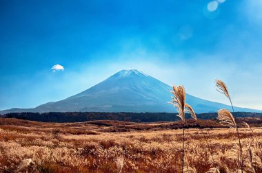 Fuji Dağı Japonya için görüntüleyin