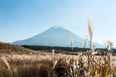 Fuji Dağı Japonya için görüntüleyin