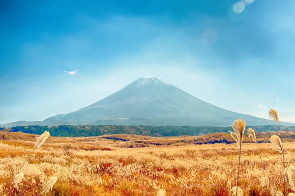 Vista para a montagem Fuji no Japão — Fotografia de Stock