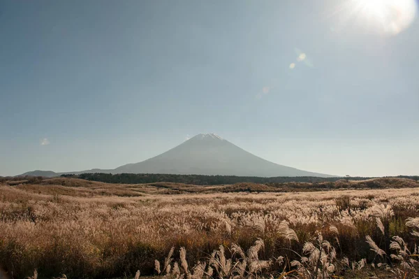 Fuji Dağı Japonya için görüntüleyin