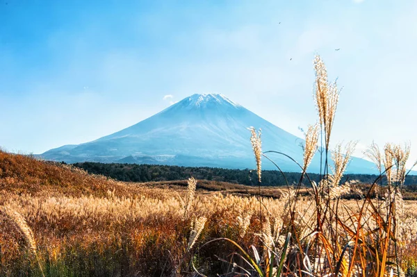 Fuji Dağı Japonya için görüntüleyin