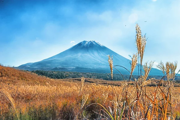 Vista para a montagem Fuji no Japão — Fotografia de Stock