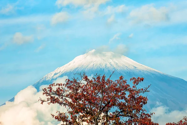 stock image An Image of Fuji Mountai