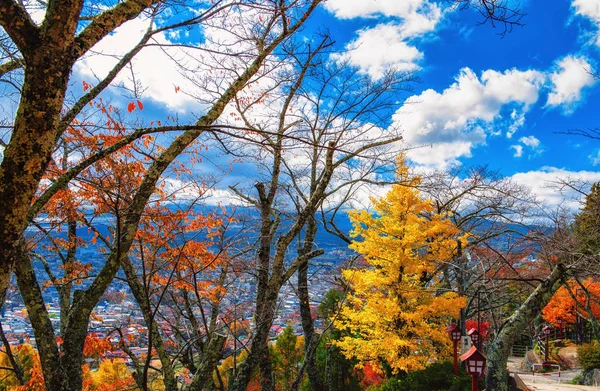 Prachtig oranje en rood herfstbos — Stockfoto