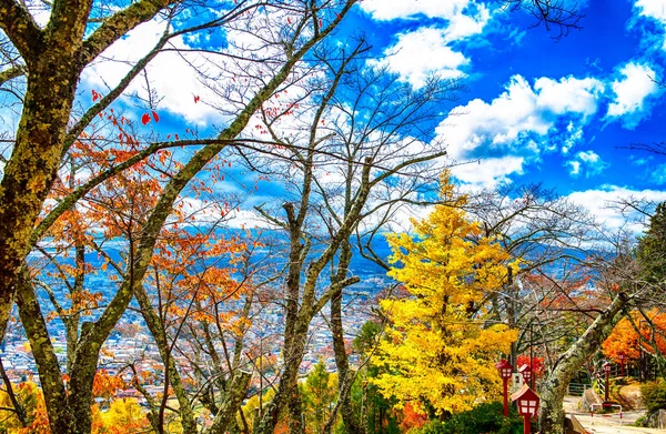 Schöner orange und roter Herbstwald — Stockfoto