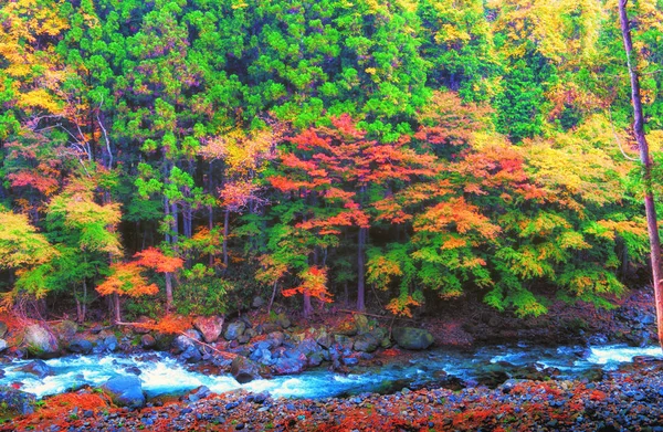 Bela floresta de outono laranja e vermelha — Fotografia de Stock