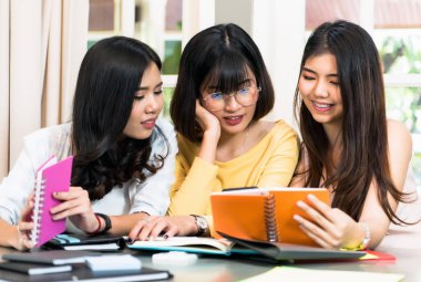 Grup genç kadın öğrenci masada Toplantı.