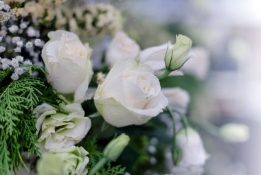 güzel güller çiçek