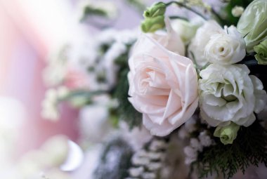 güzel güller çiçek