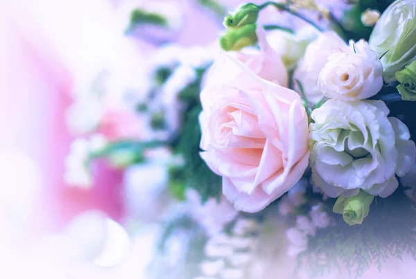 Mooie rozen bloem Rechtenvrije Stockfoto's