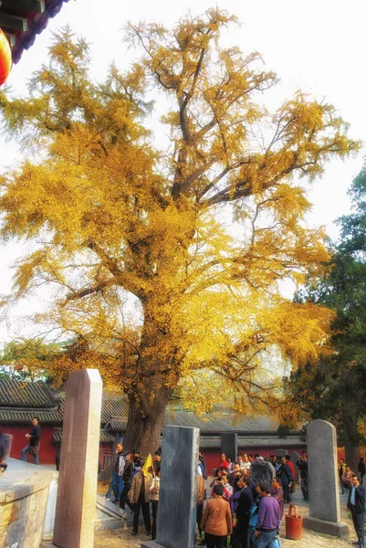 China, Shaolin - OCTOBER 28 , 2007. Monks of the Shaolin Monaste — Stock Photo, Image