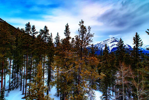 Uitzicht over de stad van Banff en de Canadese Rockies gezien van S — Stockfoto