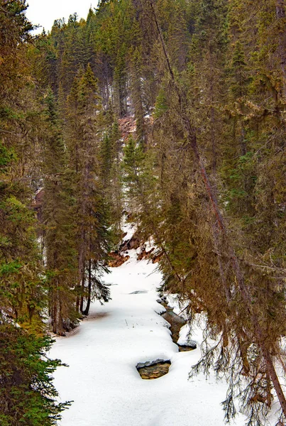 Národní Park Banff Johnston Canyon Zimě — Stock fotografie