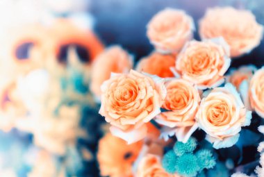 Çiçeklerin güzel arkaplanının yakın plan görüntüsü inanılmaz. 