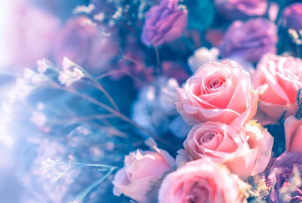Крупним планом зображення красивих квітів настінний фон з дивовижним — стокове фото
