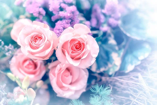 Closeup รูปภาพของดอกไม้ที่สวยงามพื้นหลังผนังด้วยที่น่าตื่นตาตื่นใจ — ภาพถ่ายสต็อก