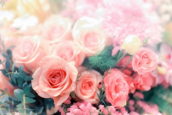 Крупним планом зображення красивих квітів настінний фон з дивовижним — стокове фото