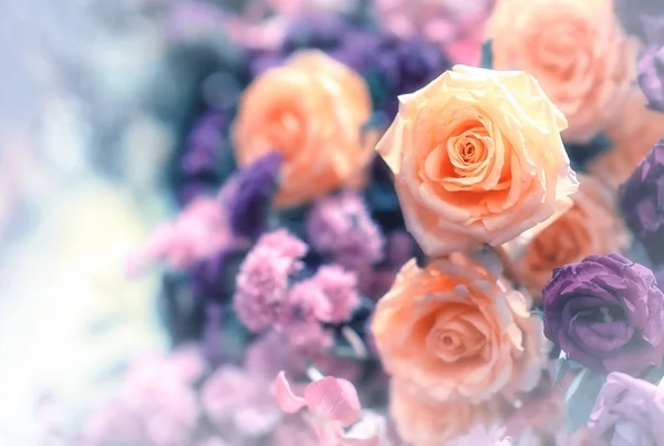 Closeup รูปภาพของดอกไม้ที่สวยงามพื้นหลังผนังด้วยที่น่าตื่นตาตื่นใจ — ภาพถ่ายสต็อก