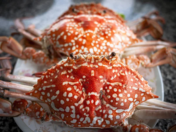 Crabe cuit à la vapeur dans une assiette — Photo