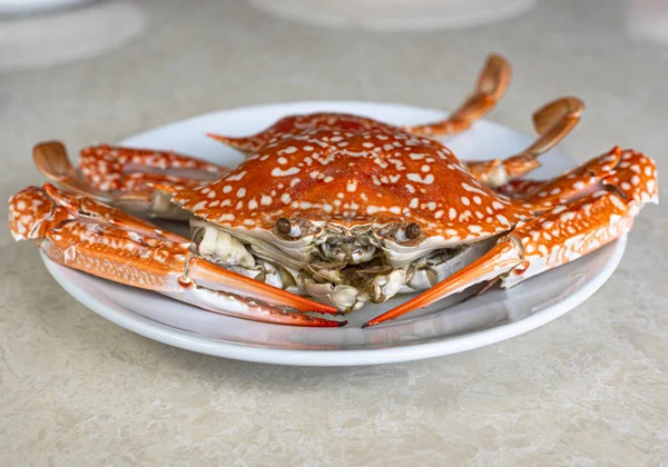 Crabe cuit à la vapeur dans une assiette — Photo