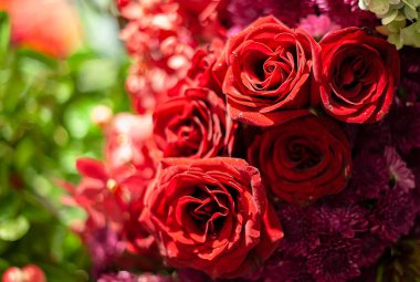 Bir buket taze gül, parlak bir arka plan..